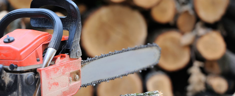 chainsaw logs